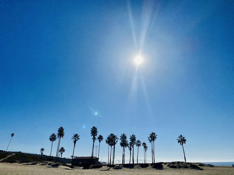 Dockweiler Beach  沙灘度假豪宅 長假好去處~