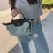 LongChamp Large Le Pliage Energy Recycled Canvas Cosmetics Case 馬鞭草綠手拿化妝包