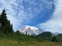 美國國定假日好去處 華盛頓州素有富士山之稱"MT RAINIER NATIONAL PARK"