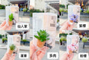 ^VroomBlooms車載空氣清新夾ZH2961