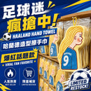 ^哈蘭德造型速乾擦手巾兩入組ZG1469
