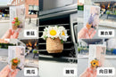^VroomBlooms車載空氣清新夾ZH2961